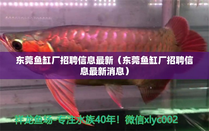 東莞魚缸廠招聘信息最新（東莞魚缸廠招聘信息最新消息）