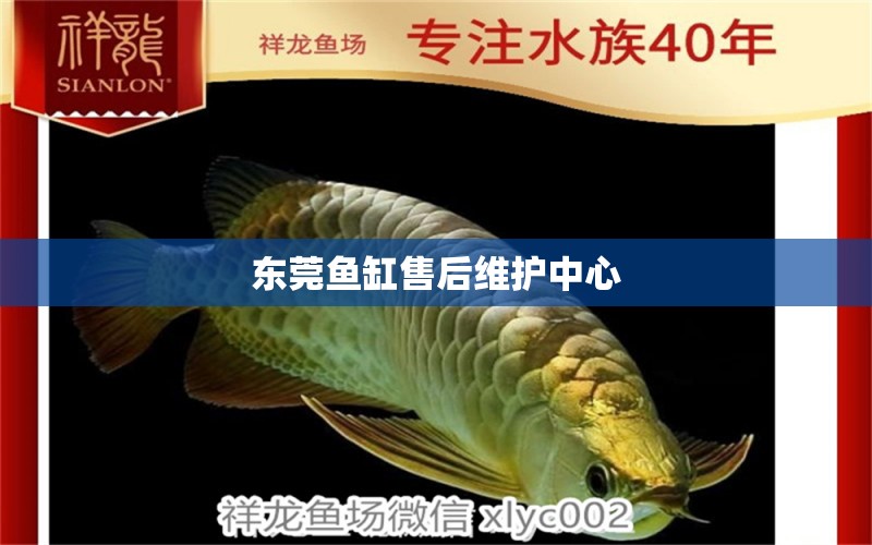 東莞魚缸售后維護(hù)中心