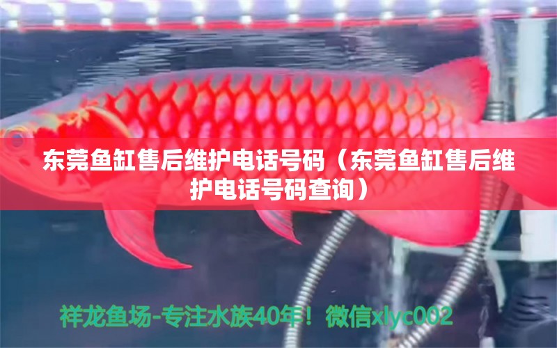 東莞魚缸售后維護電話號碼（東莞魚缸售后維護電話號碼查詢） 其他品牌魚缸