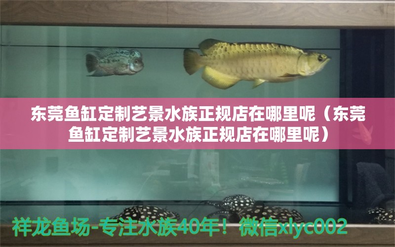 東莞魚缸定制藝景水族正規(guī)店在哪里呢（東莞魚缸定制藝景水族正規(guī)店在哪里呢） 祥龍水族醫(yī)院