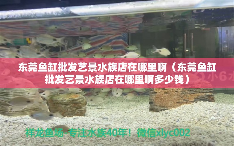 東莞魚(yú)缸批發(fā)藝景水族店在哪里?。|莞魚(yú)缸批發(fā)藝景水族店在哪里啊多少錢(qián)） 祥龍水族醫(yī)院