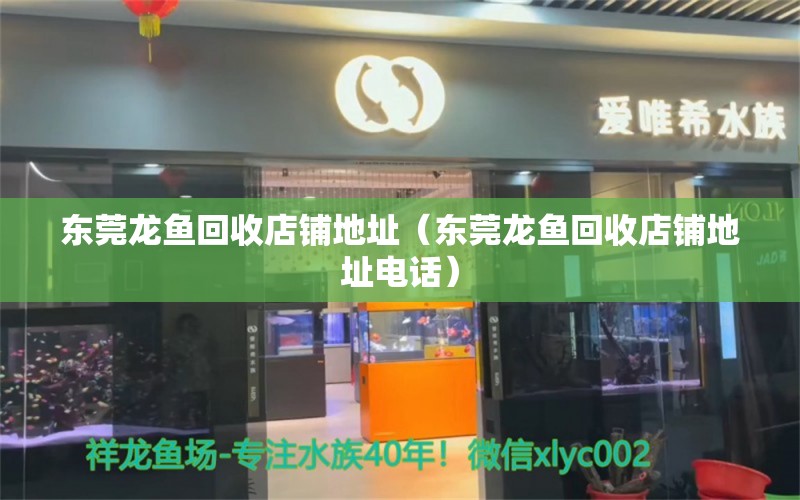 東莞龍魚(yú)回收店鋪地址（東莞龍魚(yú)回收店鋪地址電話） 祥龍水族醫(yī)院