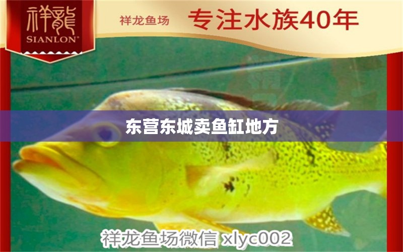 東營(yíng)東城賣魚缸地方 其他品牌魚缸