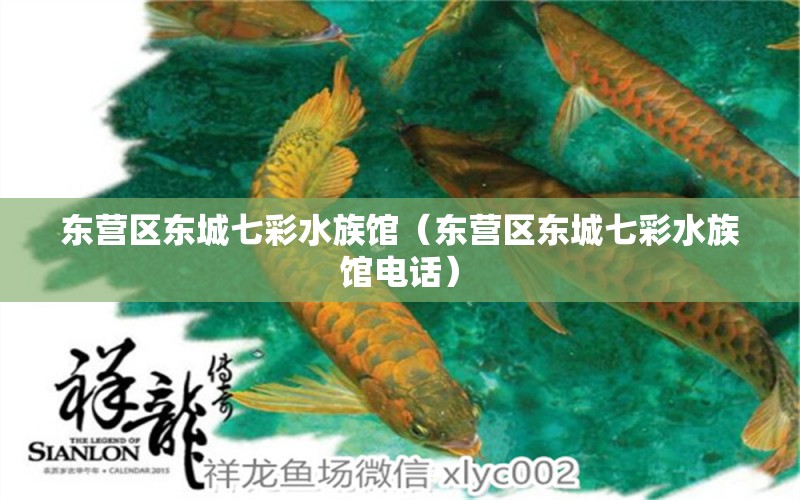 東營區(qū)東城七彩水族館（東營區(qū)東城七彩水族館電話） 全國水族館企業(yè)名錄