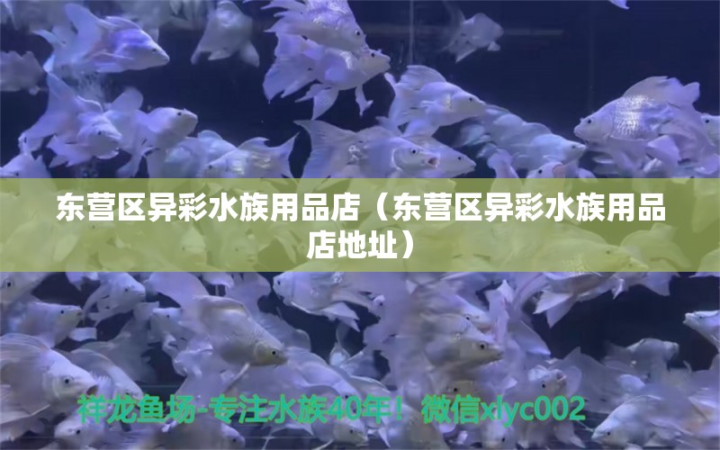 東營(yíng)區(qū)異彩水族用品店（東營(yíng)區(qū)異彩水族用品店地址）