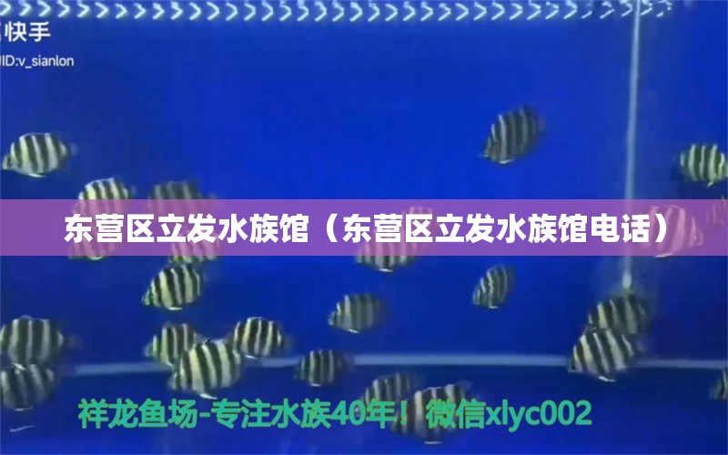 東營(yíng)區(qū)立發(fā)水族館（東營(yíng)區(qū)立發(fā)水族館電話）