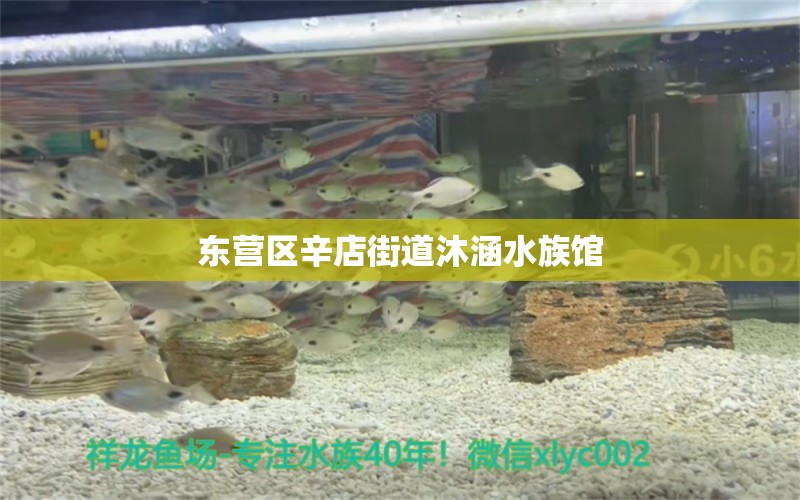 東營區(qū)辛店街道沐涵水族館 全國水族館企業(yè)名錄