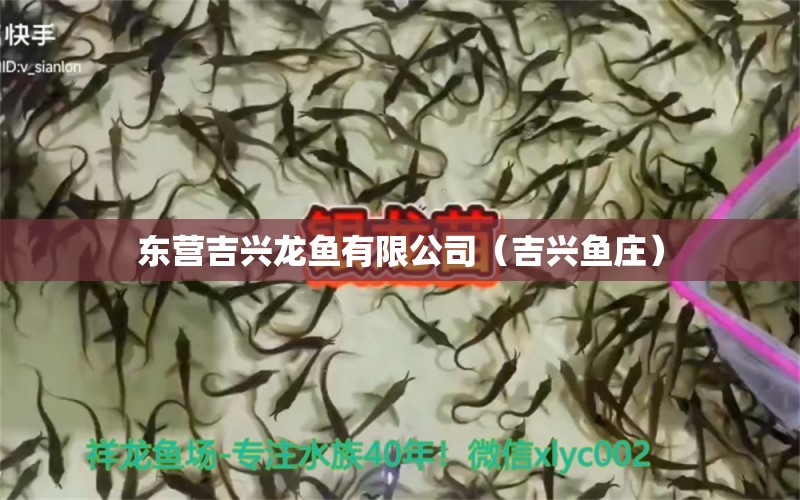 東營(yíng)吉興龍魚有限公司（吉興魚莊）