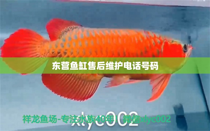 東營魚缸售后維護電話號碼 其他品牌魚缸