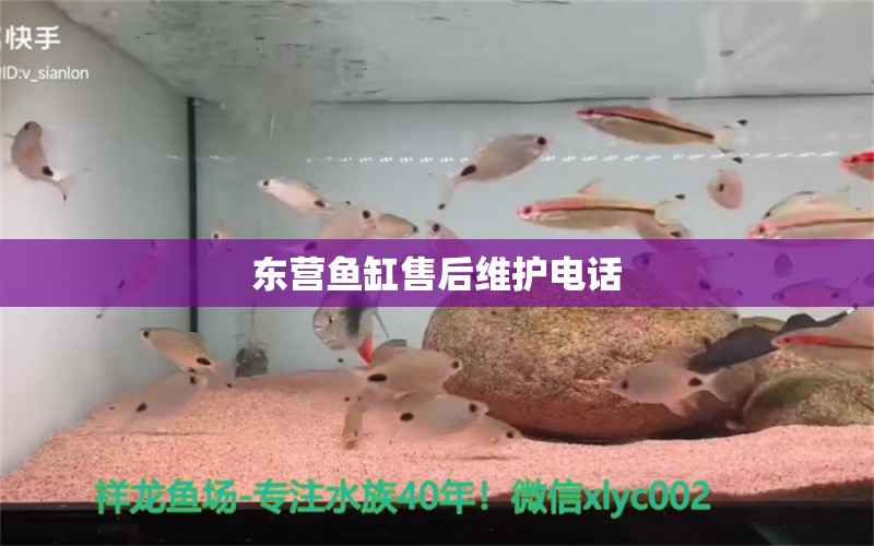 東營魚缸售后維護(hù)電話 其他品牌魚缸