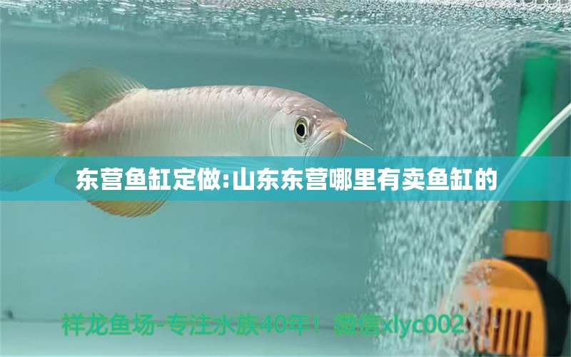 東營(yíng)魚缸定做:山東東營(yíng)哪里有賣魚缸的 魚缸百科