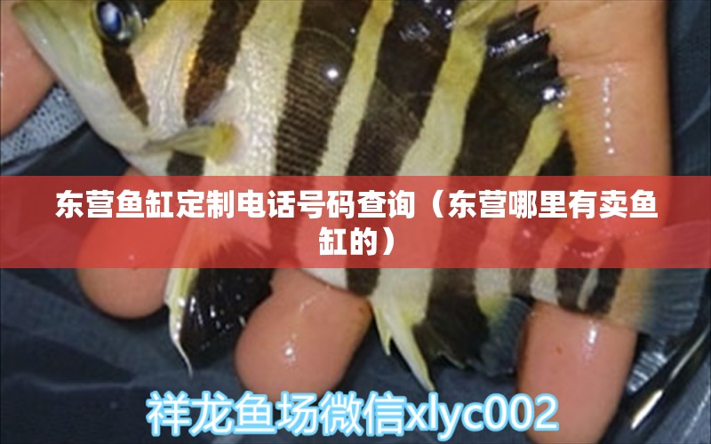 東營魚缸定制電話號碼查詢（東營哪里有賣魚缸的） 刀魚魚