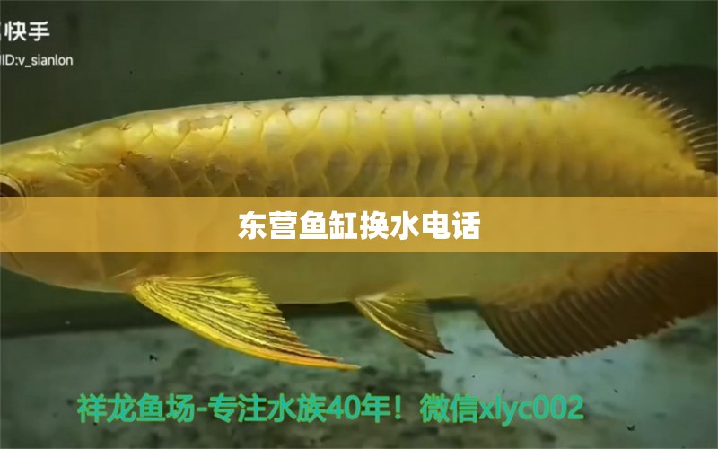 東營魚缸換水電話 其他品牌魚缸