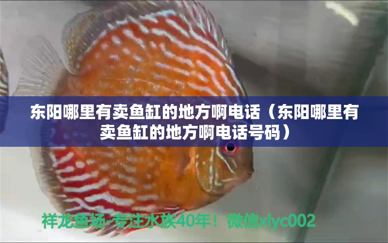 東陽哪里有賣魚缸的地方啊電話（東陽哪里有賣魚缸的地方啊電話號碼） 觀賞魚市場（混養(yǎng)魚）