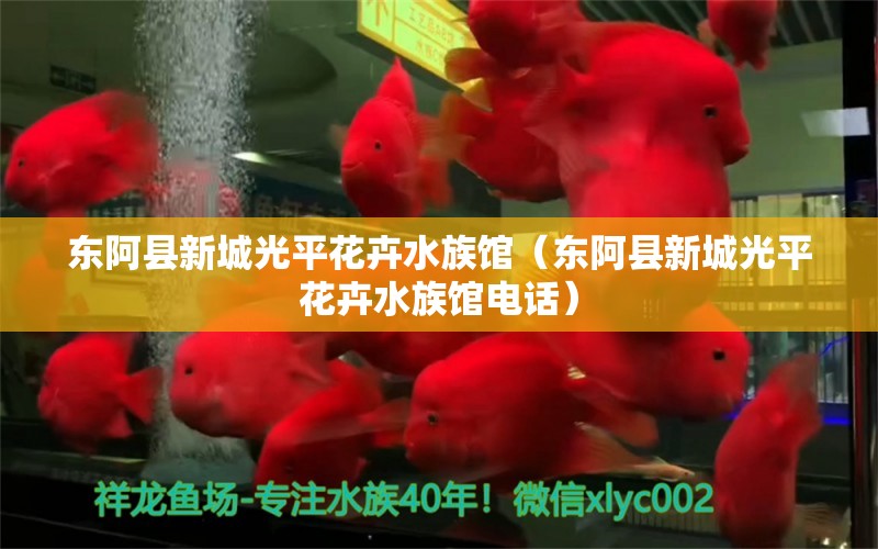 東阿縣新城光平花卉水族館（東阿縣新城光平花卉水族館電話）