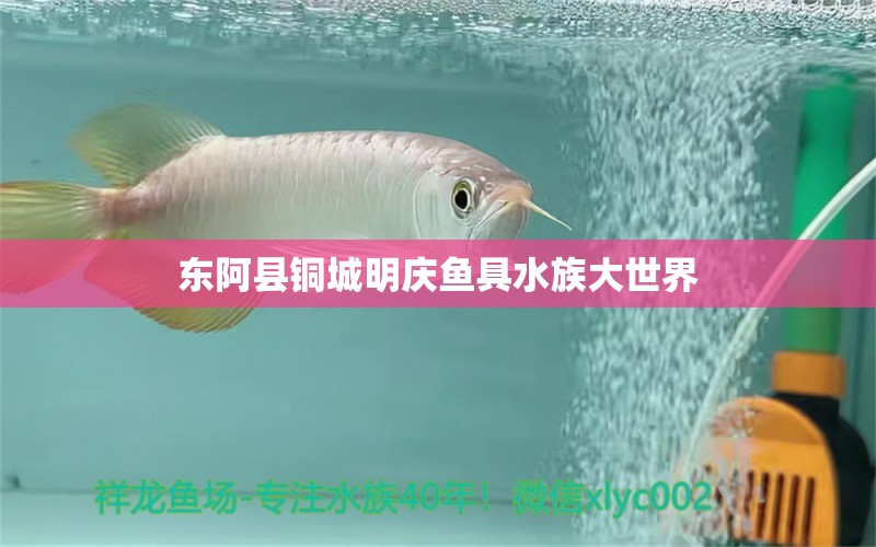 東阿縣銅城明慶魚具水族大世界 全國水族館企業(yè)名錄