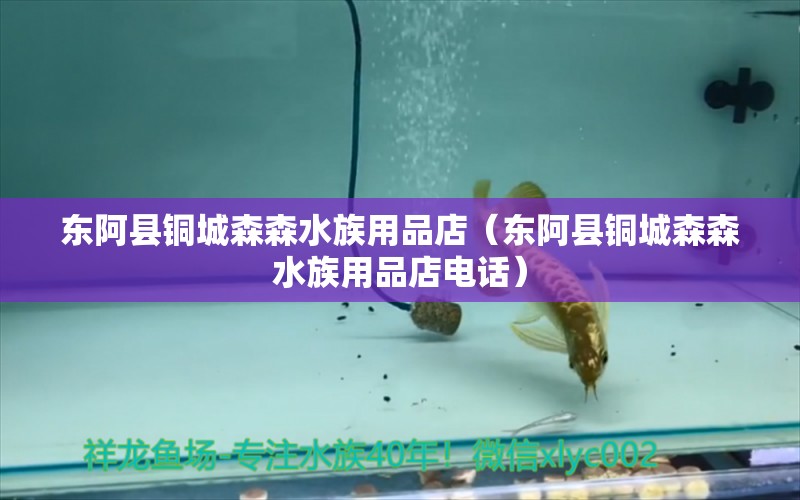 東阿縣銅城森森水族用品店（東阿縣銅城森森水族用品店電話） 水族用品