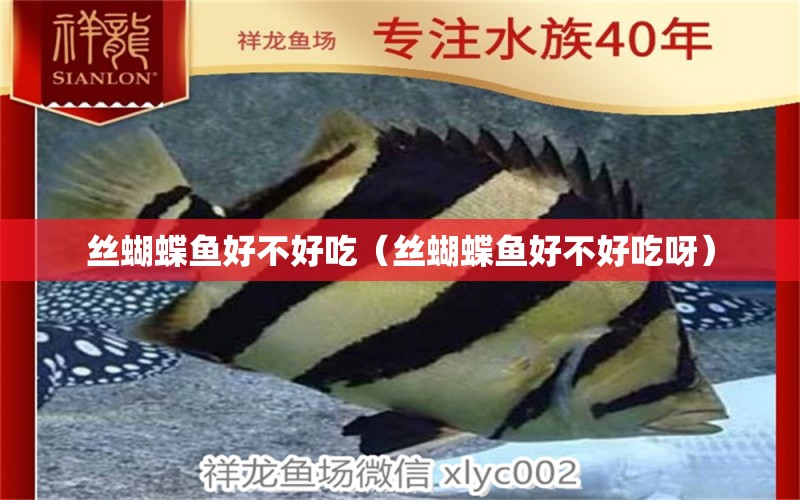 絲蝴蝶魚(yú)好不好吃（絲蝴蝶魚(yú)好不好吃呀）