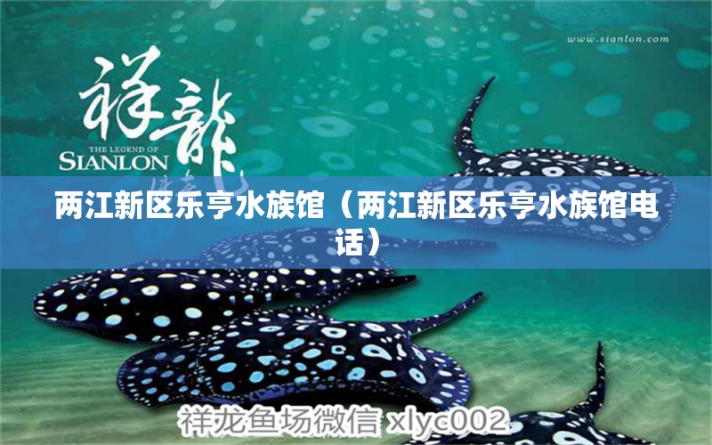 兩江新區(qū)樂亨水族館（兩江新區(qū)樂亨水族館電話） 全國(guó)水族館企業(yè)名錄