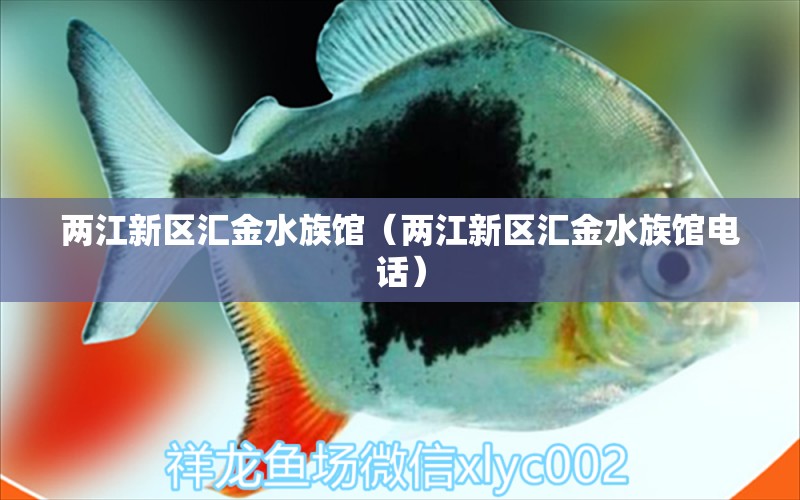 兩江新區(qū)匯金水族館（兩江新區(qū)匯金水族館電話） 全國水族館企業(yè)名錄