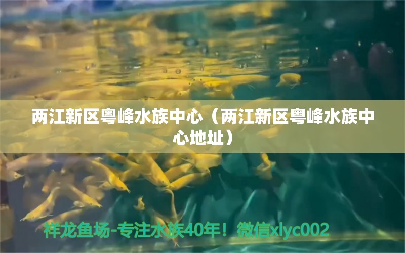 兩江新區(qū)粵峰水族中心（兩江新區(qū)粵峰水族中心地址）