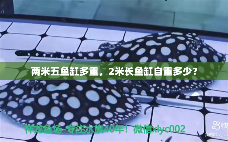 兩米五魚缸多重，2米長魚缸自重多少？ 黃鰭鯧魚