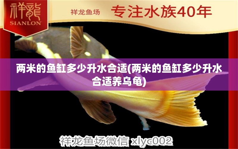 兩米的魚缸多少升水合適(兩米的魚缸多少升水合適養(yǎng)烏龜) 烏龜