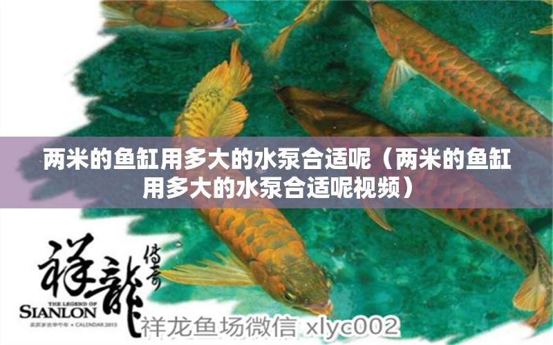 兩米的魚(yú)缸用多大的水泵合適呢（兩米的魚(yú)缸用多大的水泵合適呢視頻）