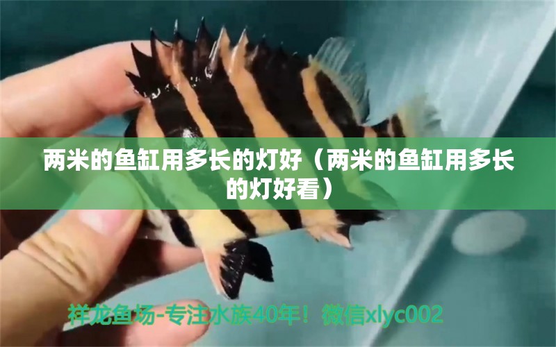 兩米的魚缸用多長(zhǎng)的燈好（兩米的魚缸用多長(zhǎng)的燈好看） 其他品牌魚缸