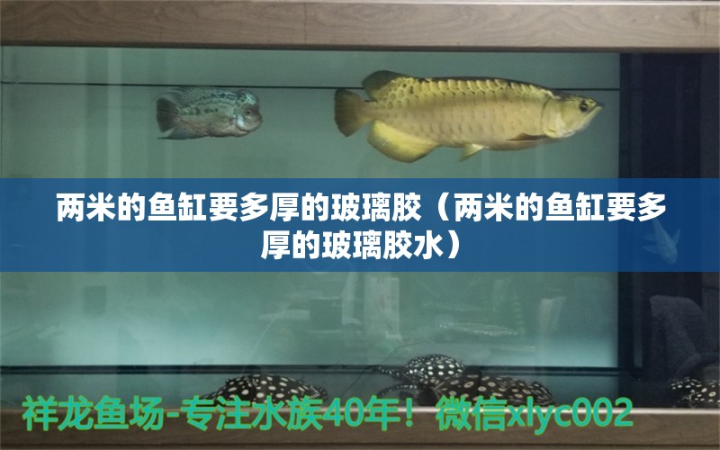 兩米的魚(yú)缸要多厚的玻璃膠（兩米的魚(yú)缸要多厚的玻璃膠水）