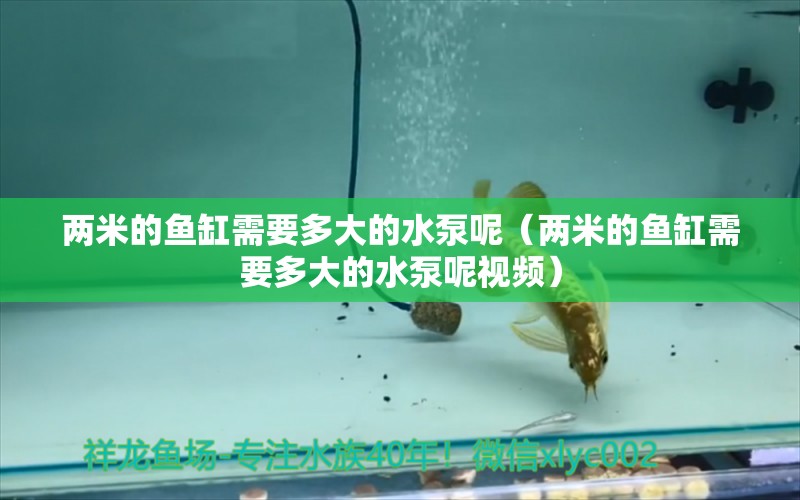 兩米的魚(yú)缸需要多大的水泵呢（兩米的魚(yú)缸需要多大的水泵呢視頻）