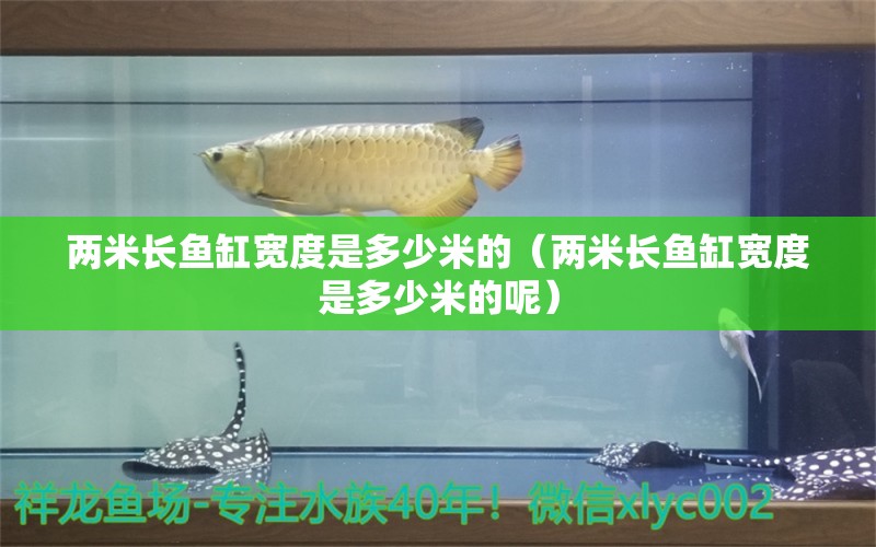 兩米長魚缸寬度是多少米的（兩米長魚缸寬度是多少米的呢） 其他品牌魚缸