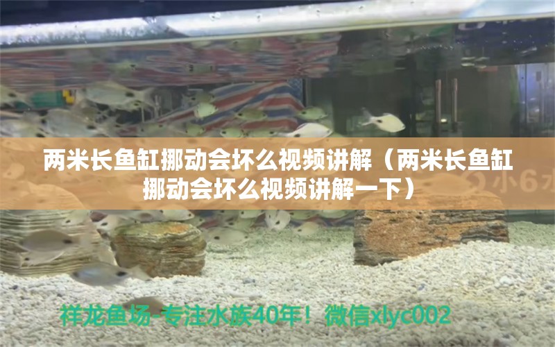 兩米長(zhǎng)魚缸挪動(dòng)會(huì)壞么視頻講解（兩米長(zhǎng)魚缸挪動(dòng)會(huì)壞么視頻講解一下） 其他品牌魚缸