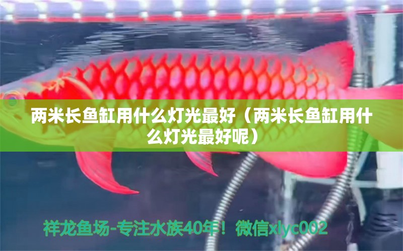 兩米長魚缸用什么燈光最好（兩米長魚缸用什么燈光最好呢）