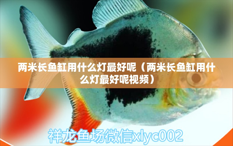 兩米長魚缸用什么燈最好呢（兩米長魚缸用什么燈最好呢視頻）