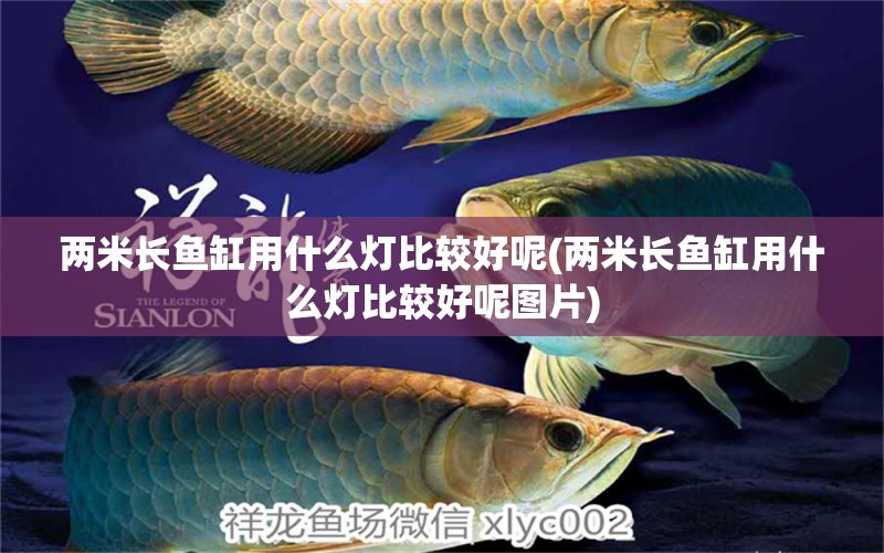 兩米長魚缸用什么燈比較好呢(兩米長魚缸用什么燈比較好呢圖片) 斑馬鴨嘴魚 第1張