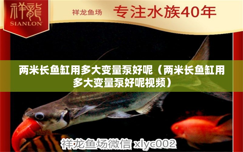 兩米長(zhǎng)魚缸用多大變量泵好呢（兩米長(zhǎng)魚缸用多大變量泵好呢視頻）