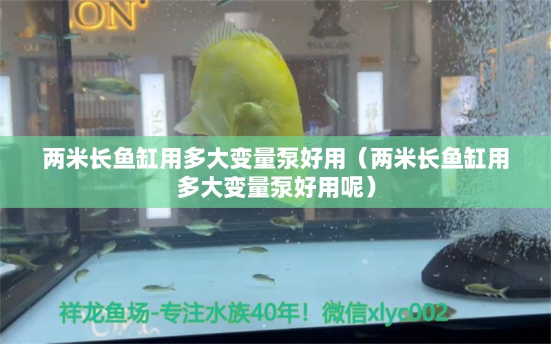 兩米長(zhǎng)魚缸用多大變量泵好用（兩米長(zhǎng)魚缸用多大變量泵好用呢）