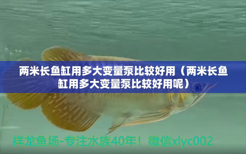 兩米長魚缸用多大變量泵比較好用（兩米長魚缸用多大變量泵比較好用呢） 其他品牌魚缸