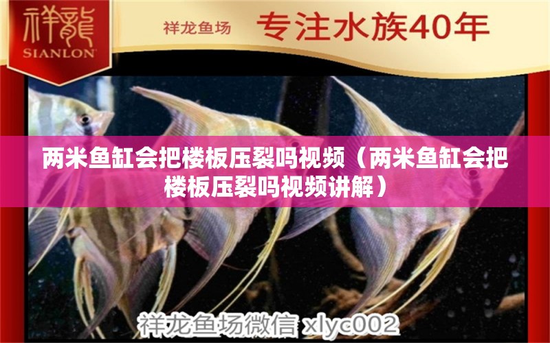 兩米魚缸會(huì)把樓板壓裂嗎視頻（兩米魚缸會(huì)把樓板壓裂嗎視頻講解）