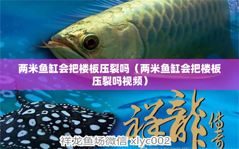 兩米魚缸會(huì)把樓板壓裂嗎（兩米魚缸會(huì)把樓板壓裂嗎視頻）