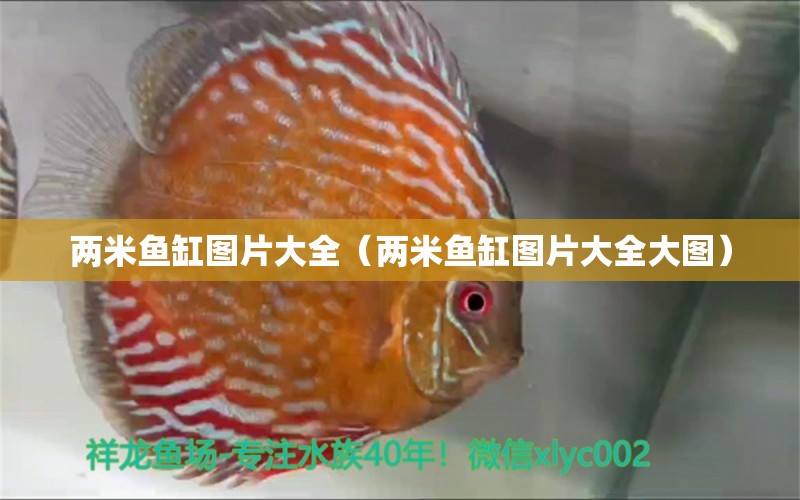 兩米魚缸圖片大全（兩米魚缸圖片大全大圖）