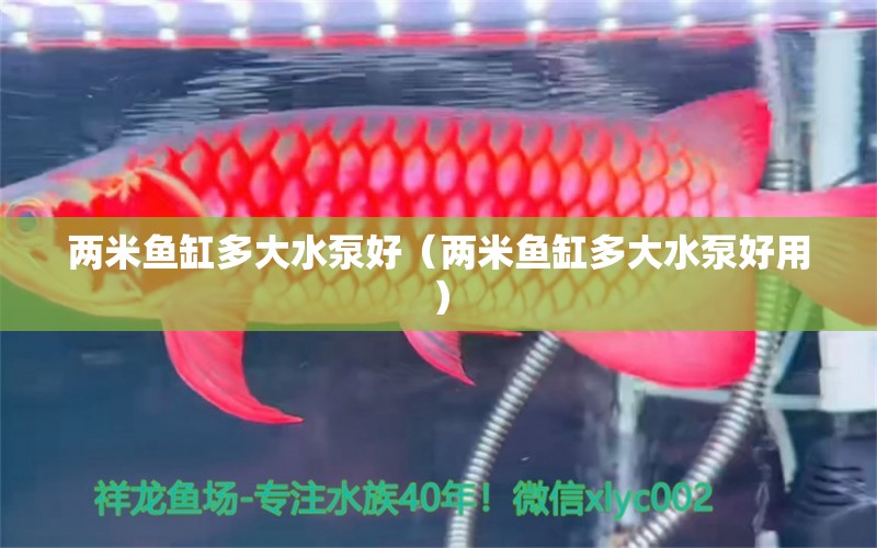 兩米魚缸多大水泵好（兩米魚缸多大水泵好用） 其他品牌魚缸