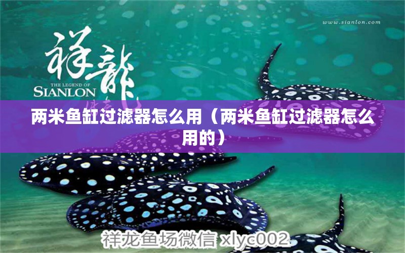 兩米魚缸過濾器怎么用（兩米魚缸過濾器怎么用的） 魚缸百科