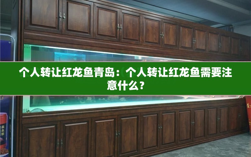 個人轉(zhuǎn)讓紅龍魚青島：個人轉(zhuǎn)讓紅龍魚需要注意什么？ 水族問答 第2張