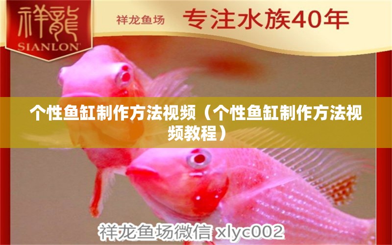 個(gè)性魚(yú)缸制作方法視頻（個(gè)性魚(yú)缸制作方法視頻教程）