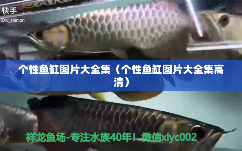 個性魚缸圖片大全集（個性魚缸圖片大全集高清） 巴卡雷龍魚