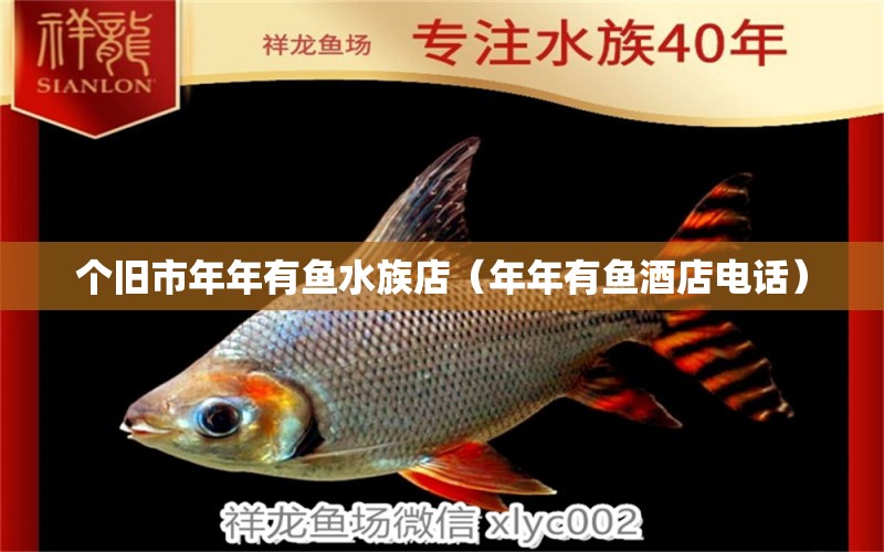 個(gè)舊市年年有魚(yú)水族店（年年有魚(yú)酒店電話）