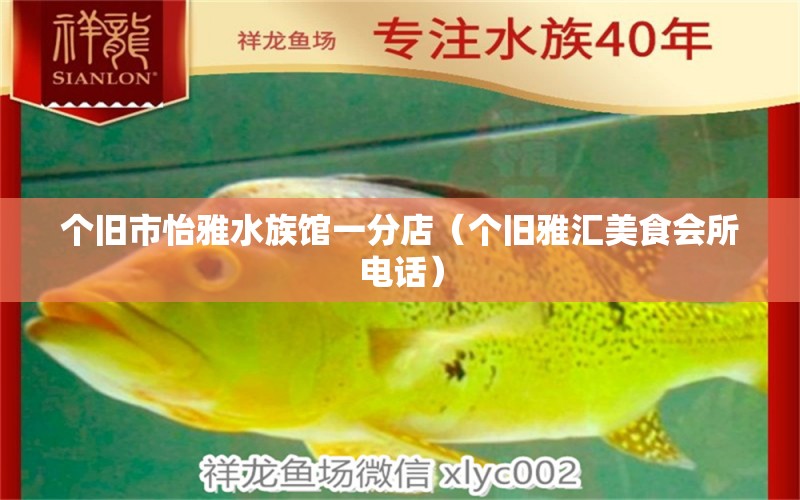 個(gè)舊市怡雅水族館一分店（個(gè)舊雅匯美食會(huì)所電話）