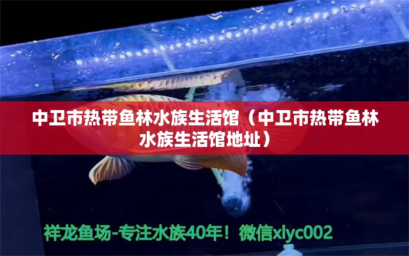 中衛(wèi)市熱帶魚林水族生活館（中衛(wèi)市熱帶魚林水族生活館地址）